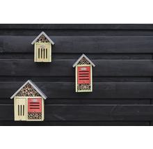 Tri hmyzie hotely rôznych dizajnov na tmavej drevenej stene