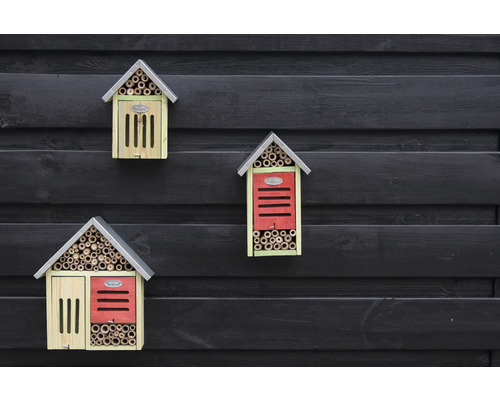 Tri hmyzie hotely rôznych dizajnov na tmavej drevenej stene