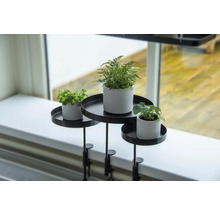 Dekoratívne rastliny na stojane na rastliny na okennom parapete so svorkou.