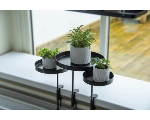 Dekoratívne rastliny na stojane na rastliny na okennom parapete so svorkou.