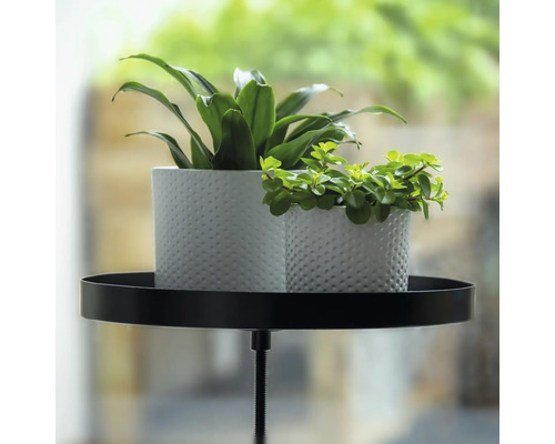 Dve rastliny v bielych kvetináčoch na čiernom stojane na rastliny.