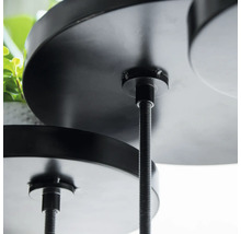 Detailný záber čierneho, viacposchodového stojana na rastliny s okrúhlymi policami a závitovými tyčami.