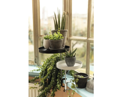 Stojan na rastliny s rastlinami pred oknom