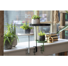 Dekoratívne stojany na rastliny so stolovými svorkami a črepníkové rastliny na okennom parapete.