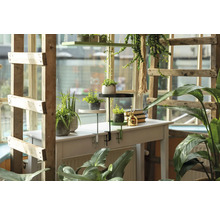 Scéna s rastlinami na stole s policou na rastliny