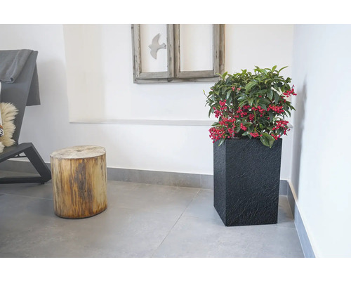 Interiérová scéna s rastlinou v čiernom kvádrovom kvetináči vedľa stoličky z kmeňa stromu.