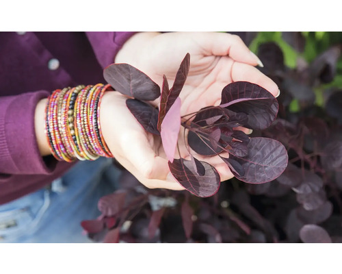 Detailný záber osoby držiacej parochňu v rukách