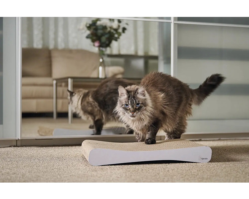 Mačka na škrabadle pred zrkadlom