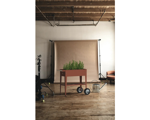 Kvetináč na kolieskach s bylinkami a kanvou v štúdiu