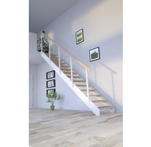 Svetlá miestnosť so schodiskom z dreva a kovu, zdobená rastlinami a obrazmi