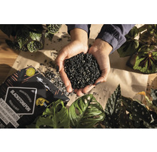 Blackstonepon rastlinný substrát v rukách, vhodný pre všetky izbové rastliny