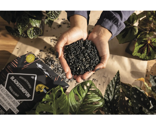 Blackstonepon rastlinný substrát v rukách, vhodný pre všetky izbové rastliny