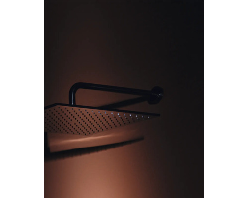 Sprchová hlavica s ramenom pre kúpeľňu