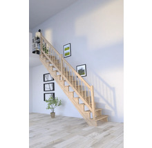 Drevené schodisko v obývacej izbe s obrazmi na stene a rastlinou