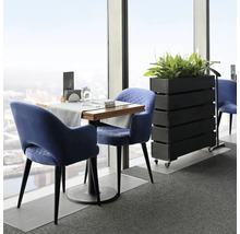 Scéna so stolom, stoličkami a kvetináčom v miestnosti pri okne