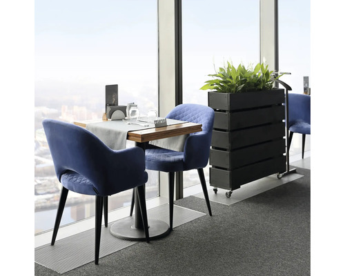 Scéna so stolom, stoličkami a kvetináčom v miestnosti pri okne