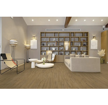 Svetlá obývacia izba s drevenou podlahou, knižnicou, gaučom a kreslami