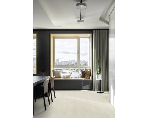 Svetlá obývacia izba s parapetom, vankúšmi a psom