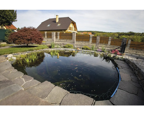 Záhradné jazierko s kamenným brehom, obklopené záhradou s rastlinami a domom v pozadí.