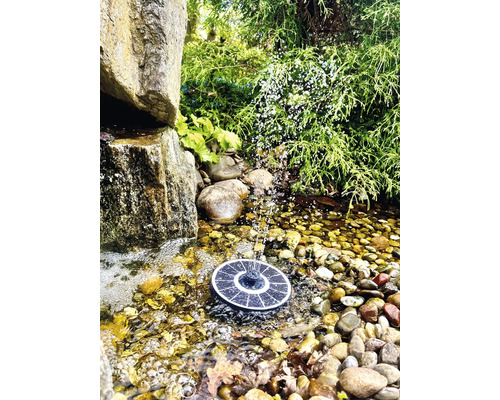 Solárna fontána v záhradnom jazierku s kameňmi a rastlinami.