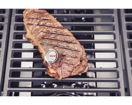 Grilovaný steak s teplomerom na mäso na grilovacej mriežke