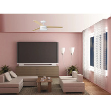 Obývacia izba so stropným ventilátorom, pohovkou, stolom, televízorom a oknami