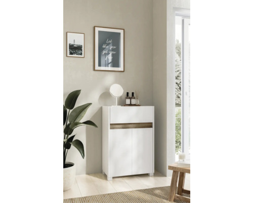 Moderná kúpeľňa s bielou kúpeľňovou skriňkou s dvomi dvierkami a zásuvkou