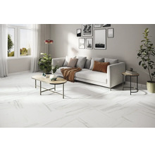 Dlažba Obklad imitácia mramoru LUCCA Bianco sivá čierna mat 60x60 cm