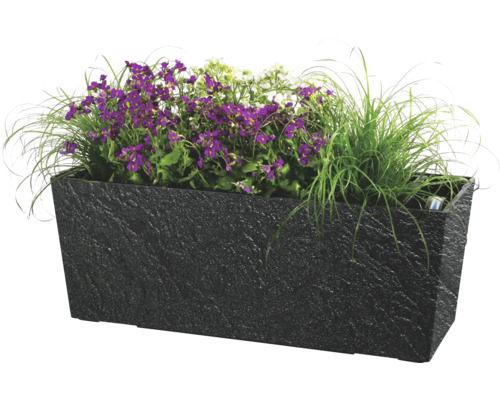 Obdĺžnikový kvetináč s fialovými a bielymi kvetmi