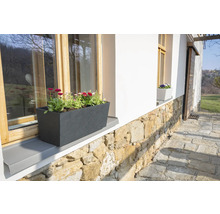 Kvetináč s kvetmi na okennom parapete