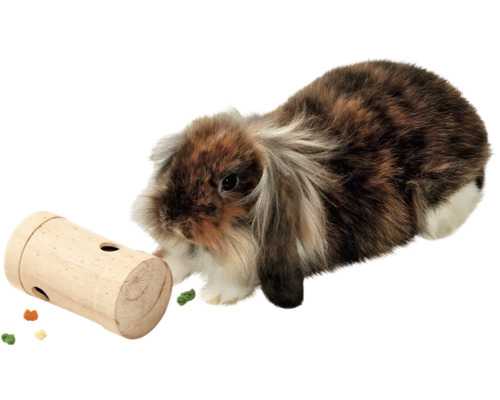 Zakrslý králik s drevenou hračkou na kŕmenie