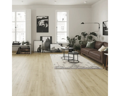 Svetlá obývacia izba s drevenou podlahou, pohovkou, kobercom, obrazmi a rastlinami