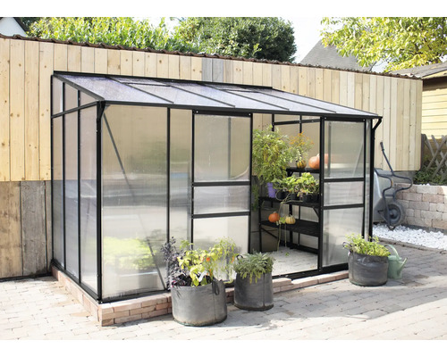 Skleník s rastlinami v záhrade