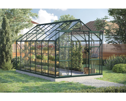 Skleník s rastlinami v záhrade.