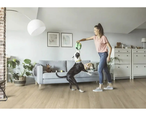 Žena sa hrá so psami v obývacej izbe s podlahou, pohovkou a úložným priestorom