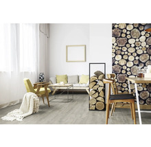 Obývacia izba s pohovkou, stolom, stoličkami, drevenou stenou a regálom na palivové drevo.