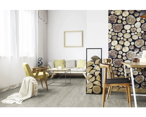 Obývacia izba s pohovkou, stolom, stoličkami, drevenou stenou a regálom na palivové drevo.