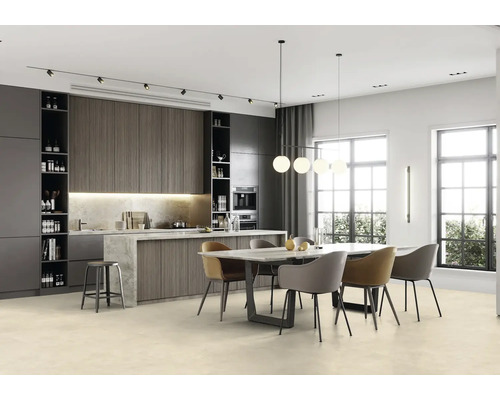 Svetlá jedáleň s jedálenským stolom, stoličkami, vstavanou kuchyňou a veľkými oknami.