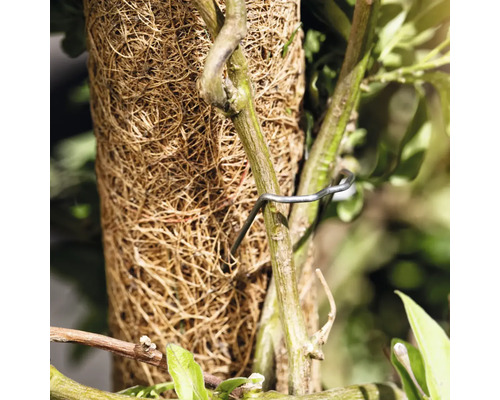 Kokosová rohož s upevnením rastlín