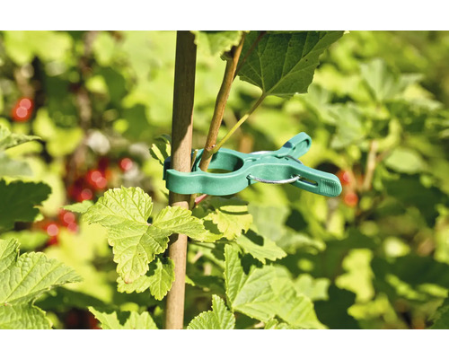 Klip na rastliny na pripevnenie rastlín k tyči