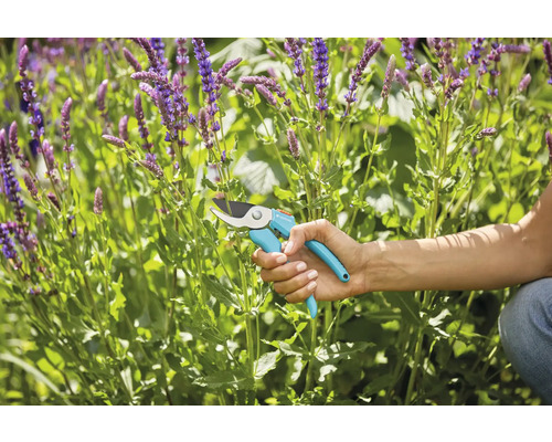 Záhradné nožnice používané na rezanie rastlín