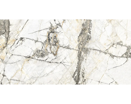Dlažba Calabria 60x120 cm lesk Vzor dlaždíc s mramorovým vzhľadom a jemnými sivými žilkami