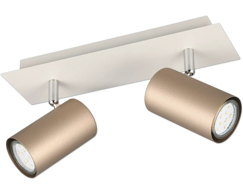 Stropné svietidlo s dvoma reflektormi