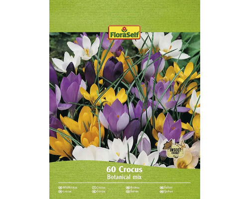 Šafran FloraSelf 'Botanický mix' 60 ks