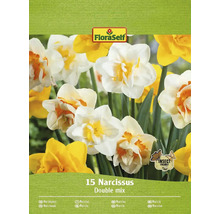FloraSelf Narcisy Double Mix, balenie 15 kusov