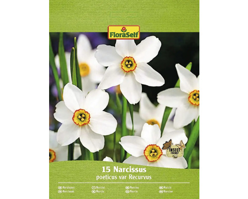 Narcisy FloraSelf Recurvus 15 ks