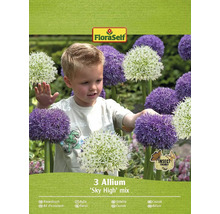 Balenie troch cibuliek cesnaku okrasného Allium ''Sky High'' Mix