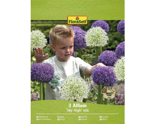 Okrasný cesnak FloraSelf 'Sky High' mix 3 ks