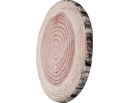 Kmeň stromu s letokruhmi