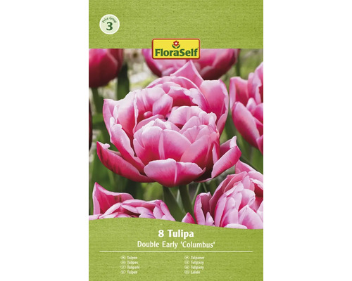 Tulipány plnokveté FloraSelf 'Columbus' 11/12 8 ks